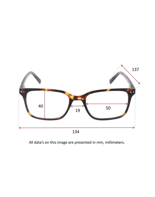 CHESTER - Lunettes de lecture