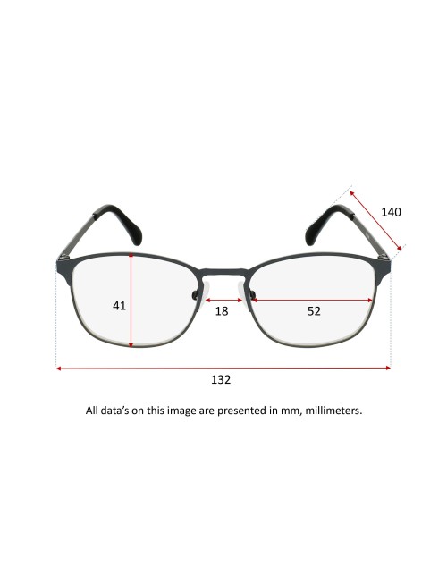 METAL GREY - Lunettes de lecture